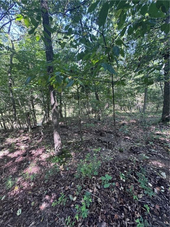TBD Gretton Lane, Bella Vista, AR 72714 - photo 5