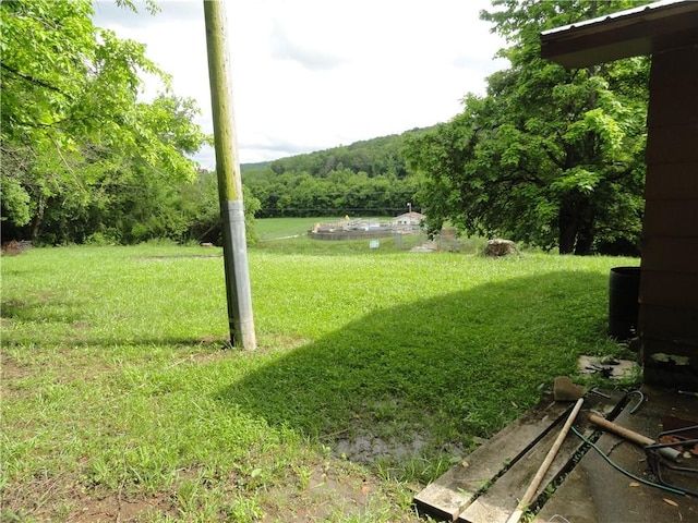 813 Main St, Leslie, AR 72645 - photo 14