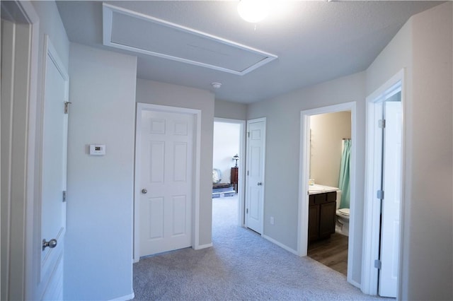 233 Evans St, Huntsville, AR 72740 - hall featuring carpet flooring and baseboards