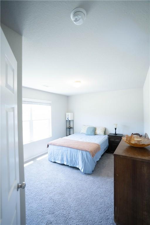 233 Evans St, Huntsville, AR 72740 - bedroom with carpet floors