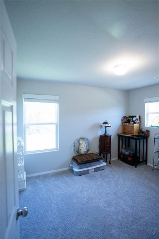 233 Evans St, Huntsville, AR 72740 - sitting room featuring carpet