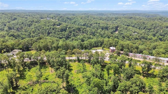 17707 12th Hwy, Rogers, AR 72756 - bird's eye view of a heavily wooded area