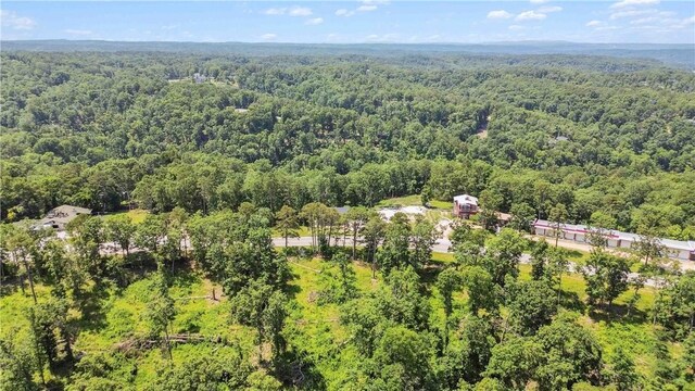 17707 12th Hwy, Rogers, AR 72756 - photo 39