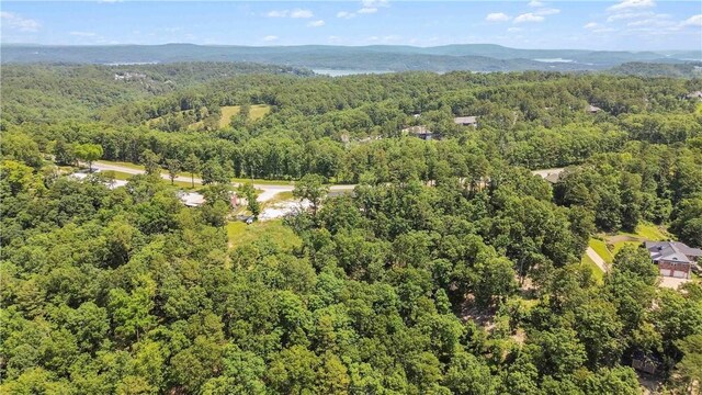 17707 12th Hwy, Rogers, AR 72756 - photo 44