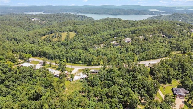 17707 12th Hwy, Rogers, AR 72756 - view of property location with a forest and a large body of water