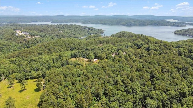 17707 12th Hwy, Rogers, AR 72756 - bird's eye view of a forest and a large body of water