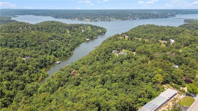 17707 12th Hwy, Rogers, AR 72756 - aerial view of a forest and a nearby body of water