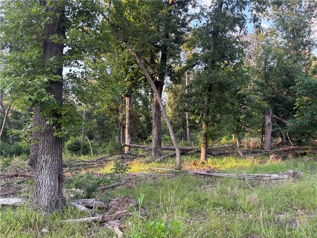 001 Madison 8590, Huntsville, AR 72740 - photo 12