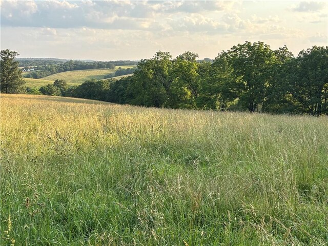 001 Madison 8590, Huntsville, AR 72740 - photo 5