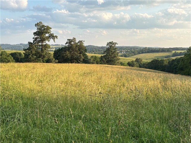 001 Madison 8590, Huntsville, AR 72740 - photo 6