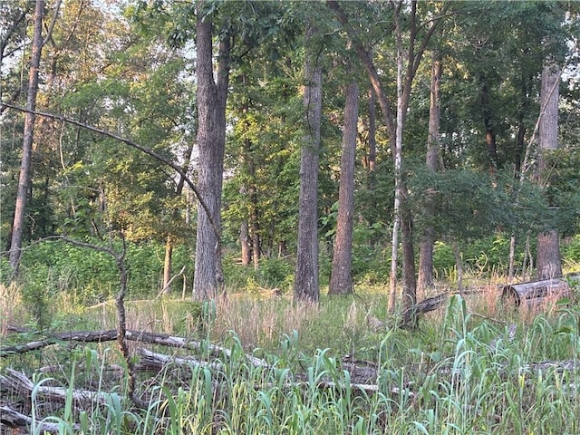 001 Madison 8590, Huntsville, AR 72740 - photo 11