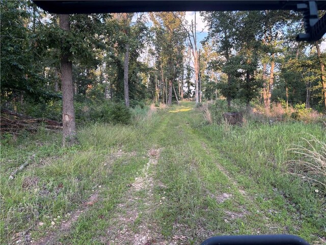001 Madison 8590, Huntsville, AR 72740 - photo 9