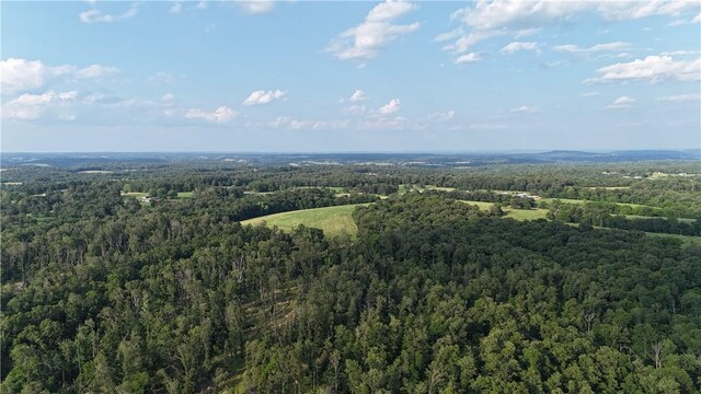 001 Madison 8590, Huntsville, AR 72740 - photo 19