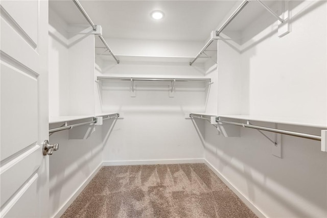 106 N Lion Dr, Gravette, AR 72736 - spacious closet featuring carpet