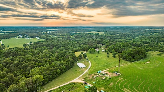 22006 Bozarth Cemetery Rd, Gentry, AR 72734 - aerial view at dusk of a wooded view