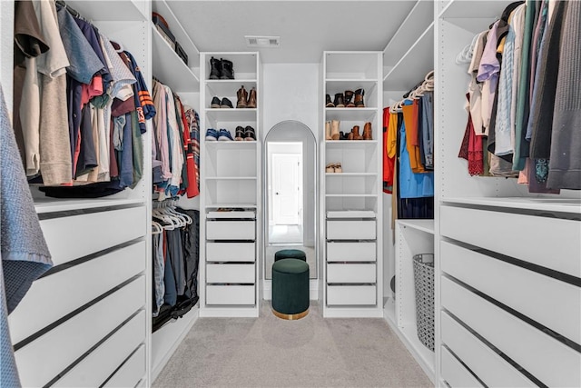 3205 Summer View Ave, Springdale, AR 72764 - spacious closet with light colored carpet