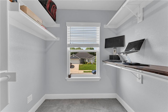 3205 Summer View Ave, Springdale, AR 72764 - walk in closet with carpet flooring