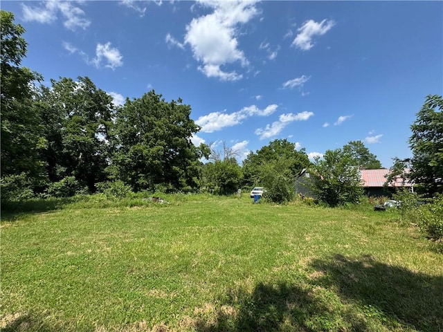 7792 Bubbling Springs Rd, Harrison, AR 72601 - view of yard