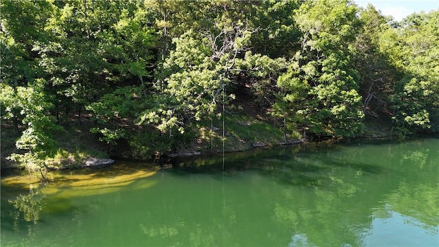 8715 Rambo N Rd, Rogers, AR 72756 - water view