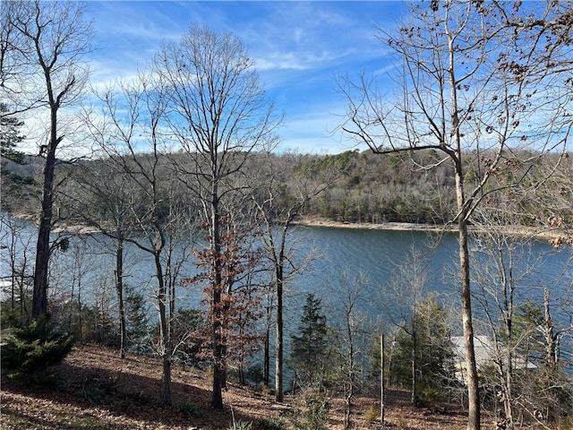 8715 Rambo N Rd, Rogers, AR 72756 - water view with a forest
