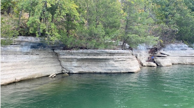 8715 Rambo N Rd, Rogers, AR 72756 - dock with a water view and a forest view