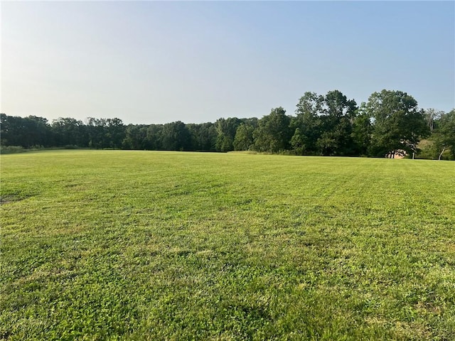 5807 Farm Rd Unit 2212, Washburn, MO 65772 - view of green lawn