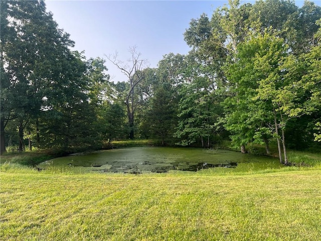 5807 Farm Rd Unit 2212, Washburn, MO 65772 - view of green lawn featuring a water view and a view of trees