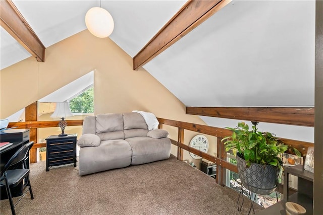 14269 Lake Forrest Heights Rd, Siloam Springs, AR 72761 - view of carpeted living area