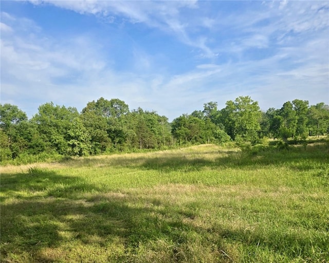 589 Rachel Rd, Russellville, AR 72802 - photo 45