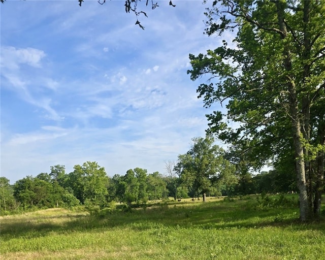 589 Rachel Rd, Russellville, AR 72802 - photo 46