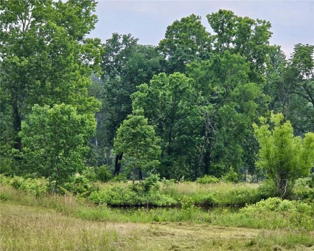 589 Rachel Rd, Russellville, AR 72802 - photo 47