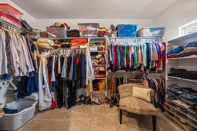 4609 W Waters Edge Dr, Rogers, AR 72758 - walk in closet featuring carpet flooring