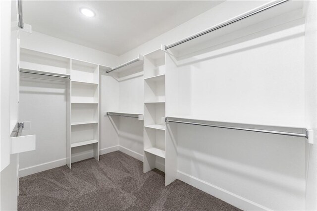 4669 W Triangle St, Fayetteville, AR 72704 - walk in closet with carpet