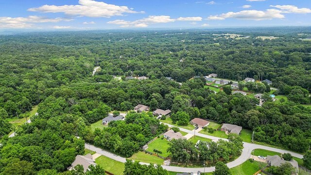 5 Millsap Cir, Bella Vista, AR 72715 - photo 39