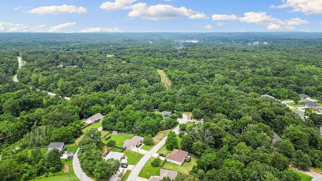 5 Millsap Cir, Bella Vista, AR 72715 - photo 41