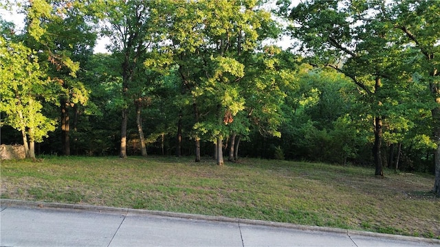 LOT3 Serenity Point Ln, Rogers, AR 72756