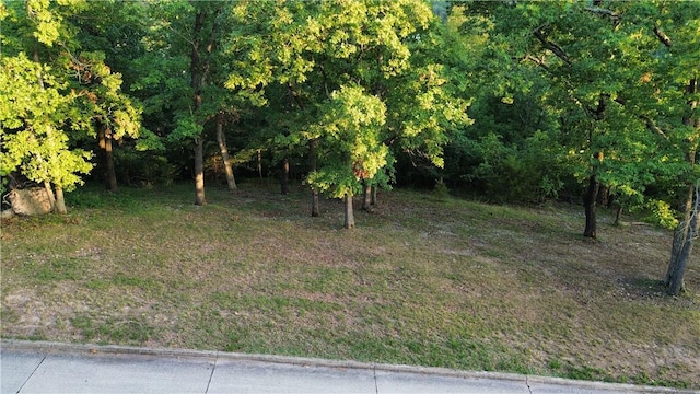 LOT3 Serenity Point Ln, Rogers, AR 72756