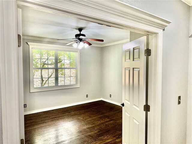 4103 NE Kensington Ave, Bentonville, AR 72712 - photo 20