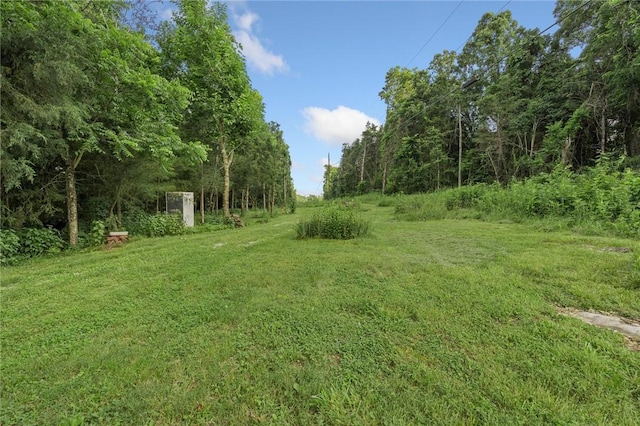 247 NC-3600, Western Grove, AR 72685 - view of green lawn