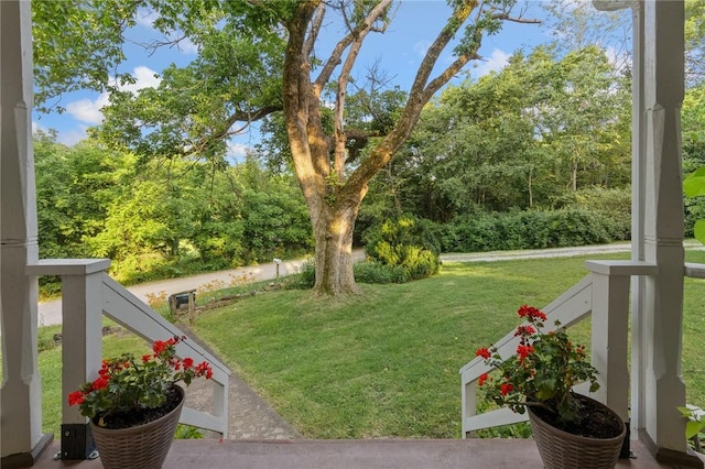 247 NC-3600, Western Grove, AR 72685 - view of grassy yard