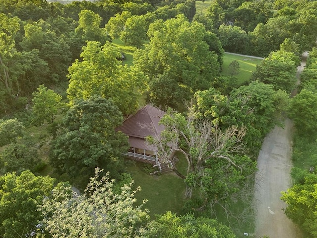 247 NC-3600, Western Grove, AR 72685 - aerial view of property and surrounding area featuring a forest