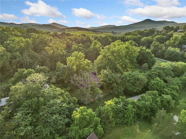 247 NC-3600, Western Grove, AR 72685 - view of mountain background with a heavily wooded area