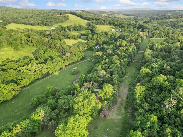 247 NC-3600, Western Grove, AR 72685 - aerial view of property and surrounding area featuring a heavily wooded area