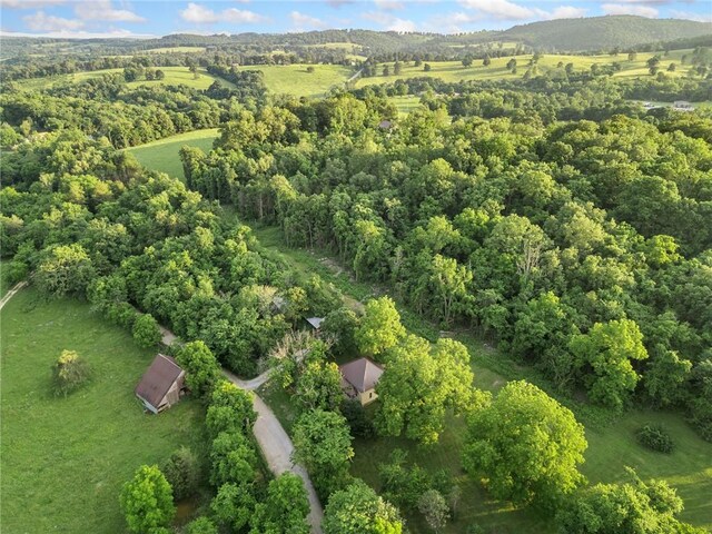 247 NC-3600, Western Grove, AR 72685 - aerial view of property's location