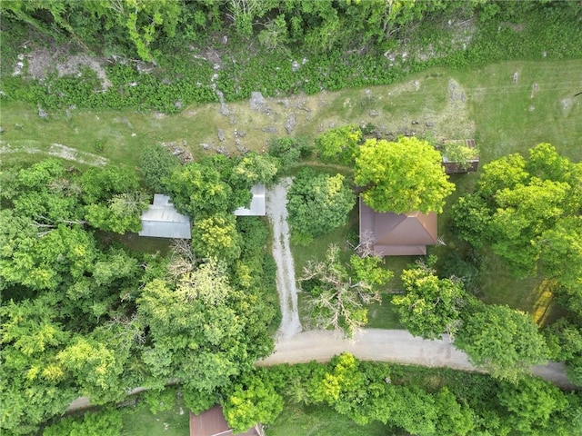 247 NC-3600, Western Grove, AR 72685 - aerial view of property's location