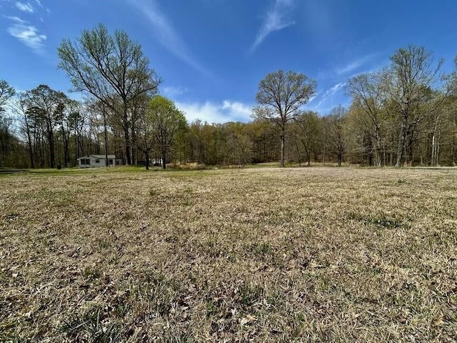 152 Churchill Rd, Atkins, AR 72823 - photo 15
