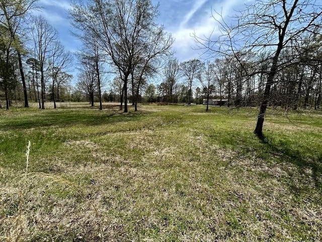 152 Churchill Rd, Atkins, AR 72823 - photo 16