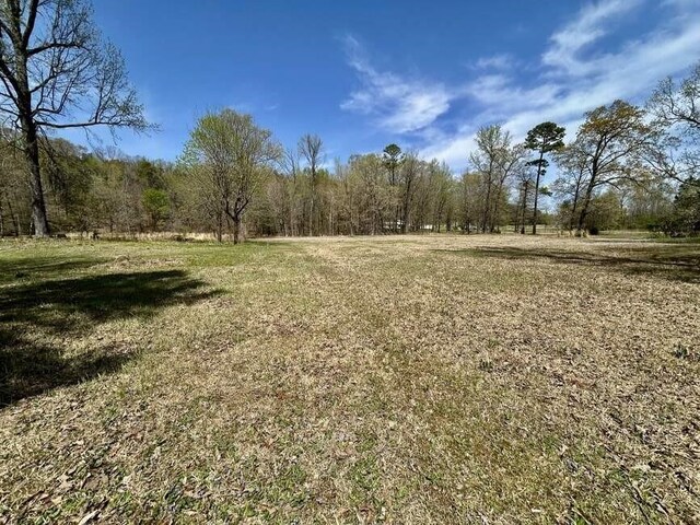 152 Churchill Rd, Atkins, AR 72823 - photo 17