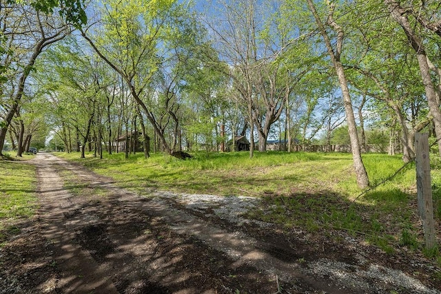TBD000 Madison 7149 Madison 7149, Hindsville, AR 72738 - photo 8