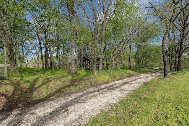TBD000 Madison 7149 Madison 7149, Hindsville, AR 72738 - photo 13